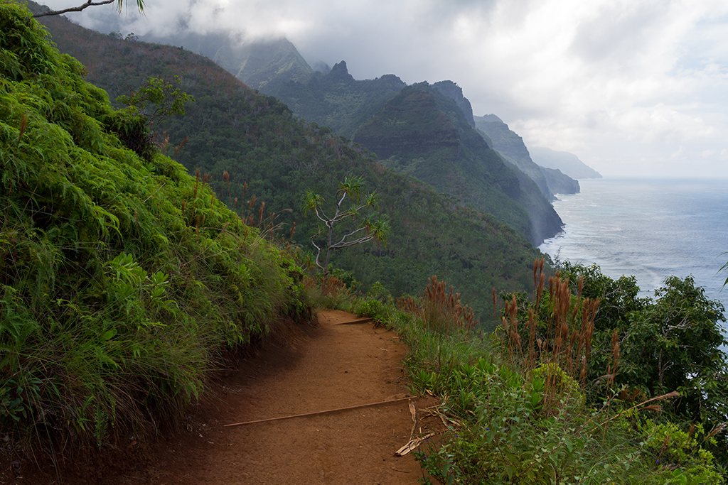 Kauai - 076.jpg